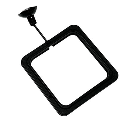 5PCS Fish Feeder Floating Square Suction Cup Feeding Ring Plastic and Rubber 3.15x3.15 Inches for Aquarium Accessories Black