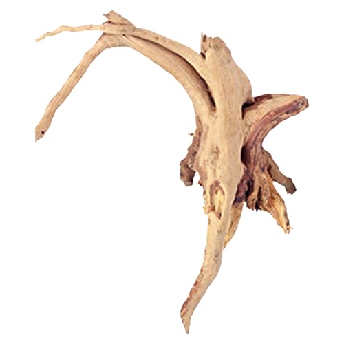 Kisangel Natural Driftwood Branch Aquarium Decoration 7.87 Inch Real Wood Fish Tank Ornament for Freshwater Aquatic Plant Anchoring and Fish Shelter