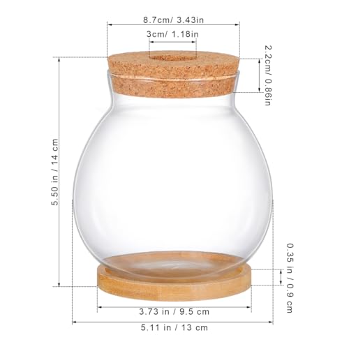 ibasenice Betta Fish Tank with Lid and Cushion Hydroponic Glass Aquarium for Desktop for Betta Fish and Aquatic Plants Terrarium with Base