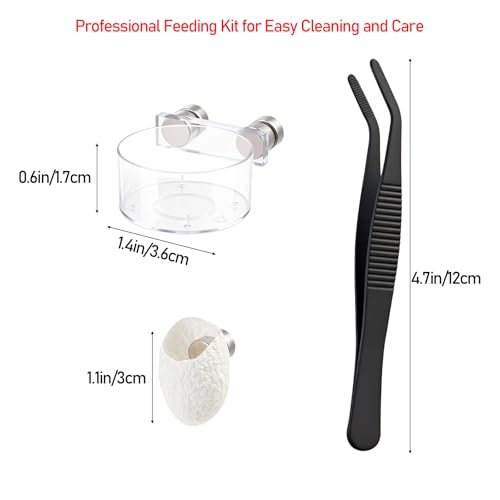 Jumping Spider Feeding Dish Set, Magnetic Water Bowl & Silk Cocoons with Magnets - Reptile Feeding Tongs and Complete Enclosure Accessories Kit