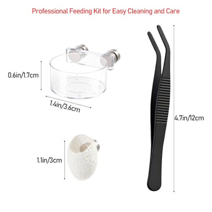 Jumping Spider Feeding Dish Set, Magnetic Water Bowl & Silk Cocoons with Magnets - Reptile Feeding Tongs and Complete Enclosure Accessories Kit