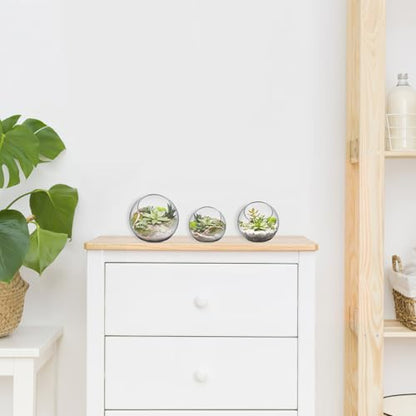 balacoo 3 Pcs Glass Terrariums Bowl for Plants, Terrarium Jar for Air Plant Clear Globe Vase Glass Bowl for Home Desktop Decor | Modern slant-cut design adds elegance to home or office. Transparent glass displays succulents and moss for a stunning view.