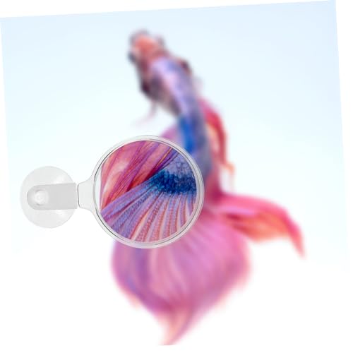 Magnifier for Fish Tank Small Animal Viewing Glass Cup for Observing Landscapes Spiders and Plants Aquariums