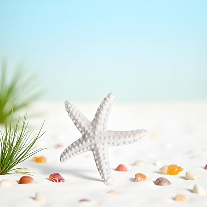 1Pc White Resin Ocean Beach Starfish Natural Seashell Starfish Ornaments for Wedding Decor Beach Theme Party Home DIY Craft Fish Tank Holiday Decoration, Vase Filler, Home and Kitchen