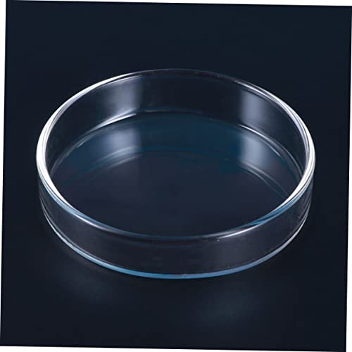Angoily 3pcs Glass Shrimp Food Basin for Small Fish Round Feeding Dish Glass for Shrimp Fish and Reptiles