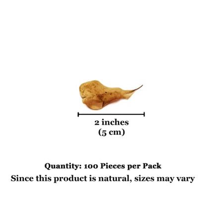 SunGrow 100 Pcs Mini Catappa Indian Almond Leaves for Betta Fish Aquarium, Shrimp, Frogs, Improves Habitat, Gives Tea Color, Helps in Lowering Aquarium Water pH, Improves Immunity