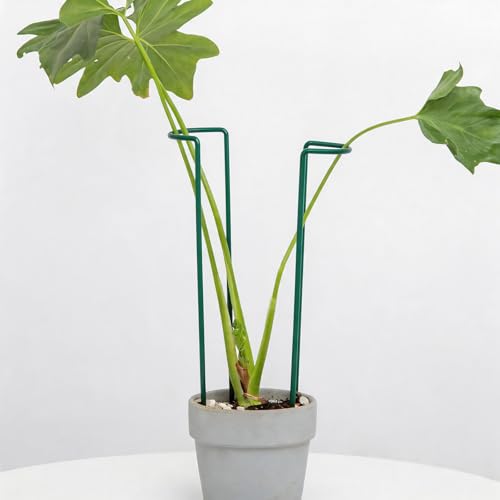 Indoor Plant Trellis Set of 10 - Durable Iron Plant Supports for Monstera and Climbing Plants, Perfect for Indoor & Outdoor Use, U-Shape Design for Garden Decor and Ideal Gift for Plant Lovers - color: Green, size: 12 Inch H