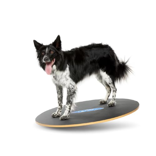 FitPaws® Wobble Board, Dog Balance Core Fitness Rehab Tool, Dog Fitness - size: 36"