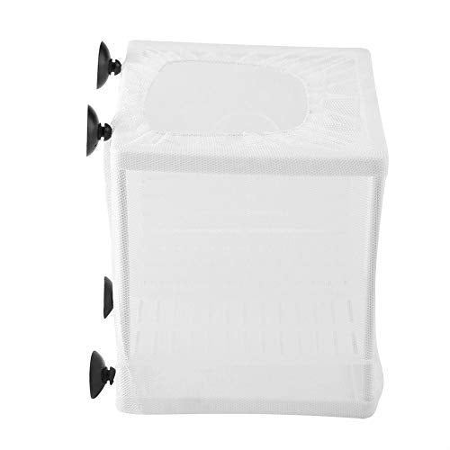 Fish Breeder Box, Multifunctional Isolation Mesh Aquarium, Suction Cup Design Box for Fish Breeding Isolation