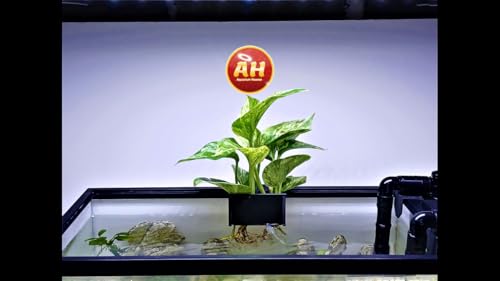 Aquarium Plant Holder for Rimmed and Rimless Tanks, PLA+ Plastic, Fish-Safe, Accessory