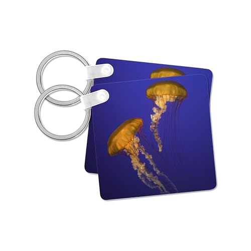 3dRose, California, Sea nettles at Monterey Bay Aquarium - US05 BJA0126 - Jaynes Gallery, Key Chain - size: set of 6 Key Chains