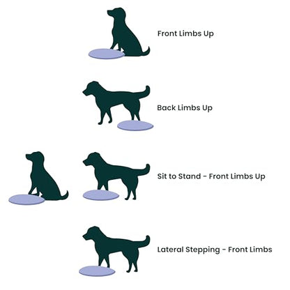 FitPaws® Dog Balance Disc, Exercise Equipment, Rehabilitation + Training, - color: Razzleberry, size: 14"