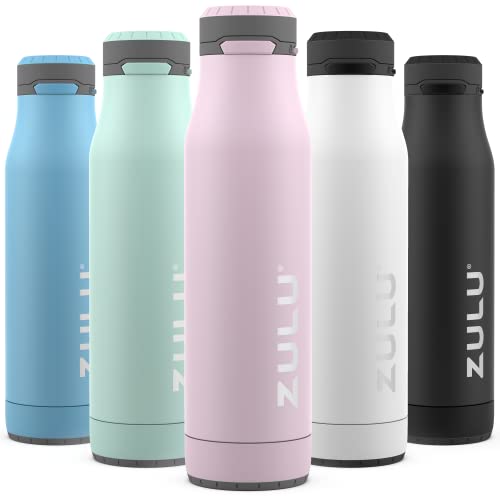ZULU Ace 24oz Insulated Stainless Steel Water Bottle, Chug Spout, Pink - color: Pink Cashmere