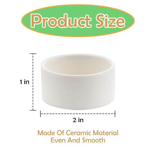 2 Pack Snake Small Water Bowl Reptile Food Dish Ceramic Feeder for Snake Lizard Gecko Frog Hermit Crab