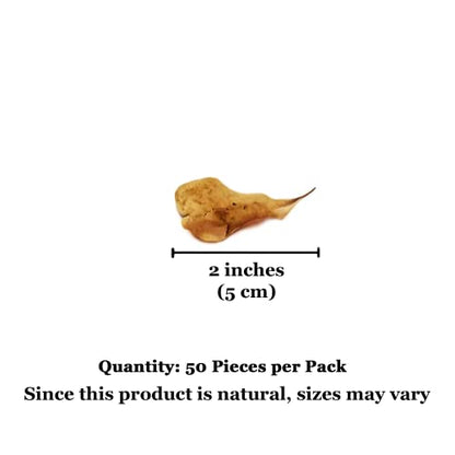 SunGrow 50 Pcs Mini Catappa Indian Almond Leaves for Shrimp Aquariums, Lowers Your Tank's pH and Pet Stress, Creates Better Environment, Unique Practical Decor