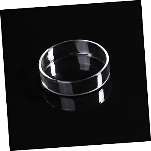 BESPORTBLE Transparent Glass Shrimp Feeding Tube Set Feeder Tray for Aquarium Durable and Reliable Glass Design Convenient Feeding for Fish and Shrimp Easy to Install