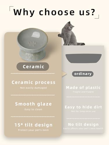 Ceramic Cat Food Bowl, 15°Tilted Raised Cat Food Bowl 5oz (Vintage White)