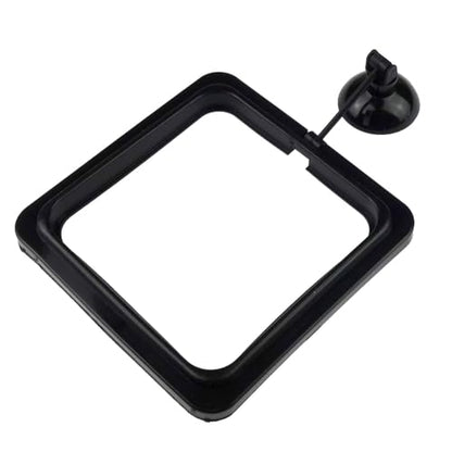 5PCS Fish Feeder Floating Square Suction Cup Feeding Ring Plastic and Rubber 3.15x3.15 Inches for Aquarium Accessories Black