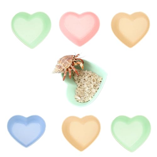 6 Pcs Hermit Crab Plastic Food Dish, Hermit Crab Colorful Food Bowl, Mini Food Dish Kit for Small Animal