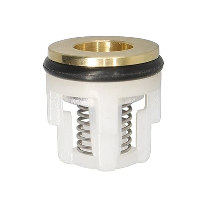 Pack of 12 AR42123 Replacement Vavle Kit fit for Annovi Reverberi RMV2.5G24D RMV2.5G30 RMW2.5G25D RMW2.5G26D-F7 RMW2.5G28-EZ Models Check Valve Kit
