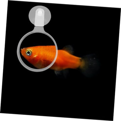 Hemoton Aquarium Glass Cup Microlandscape Viewer for Small Animals and Plants Design Observation Fish Tanks