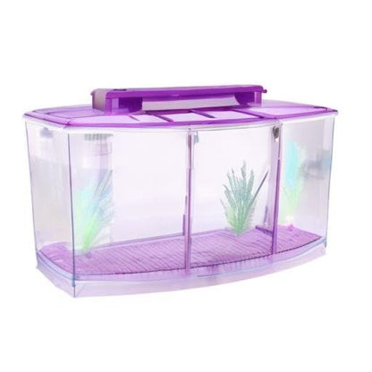 Acrylic Aquarium Isolation Box,Mini Fish Tank Breeding Hatchery Small Fishes Incubator with Three Divisions and LED Light(Purple)