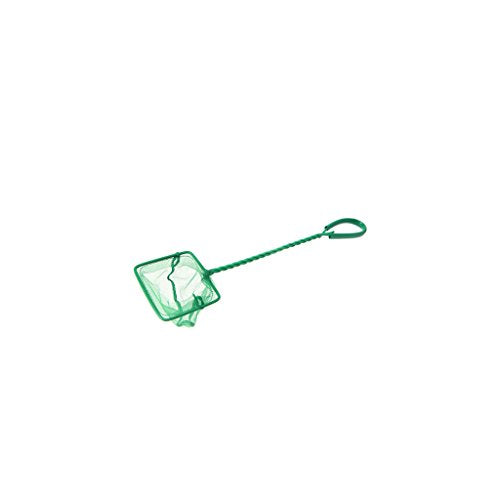 Aquarium Fishing Net 3 4 5 6 8 10 Inch Diameter Fine Catching Net with Comfortable Handle
