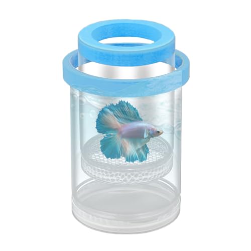 Fish Breeder Box - Clear Acrylic, Strong Suction Cups, V-Grate, Safe Fry Hatching Tank Guppy, Protects Fish, Betta Shrimp Isolation Space, Aquatic Separator Nursery | for Aquarium - color: Blue