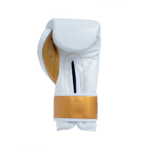 CLETO REYES Training Boxing Gloves for Men and Women with Hook and Loop Closure, Premium Synthetic Leather, MMA, Kickboxing, Muay Thai - size: 12oz.