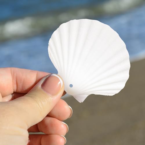 24Pcs Scallop Shells White Natural Seashell 2"-3" Perforation Scallop Shells with Rope for Christmas Tree Ornaments & DIY Hanging Home Deocration Craft