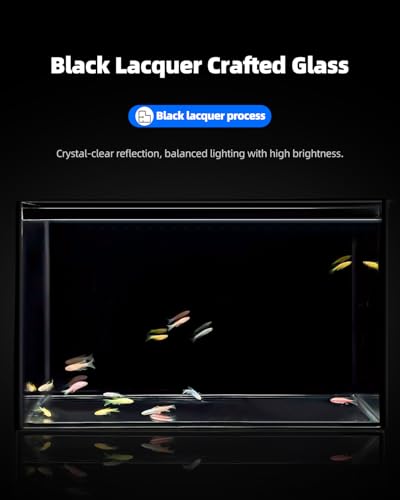 5 Gallon Clear Glass Fish Tank, Easy to Maintain Small Aquariumfor Betta, Goldfish, Snail,Shrimp and Aquatic Planting - color: Black, size: 5 Gallon