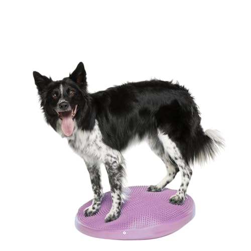 FitPaws® Dog Balance Disc, Exercise Equipment, Rehabilitation + Training, - color: Razzleberry, size: 22"