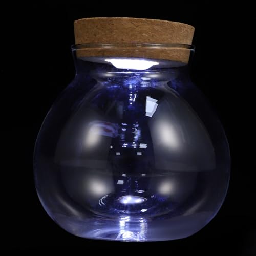 Hemobllo Fish Tank Micro Landscape Bottle 5.51In Transparent Borosilicate Glass Ecological Bottle with Integrated Led Light for Home Office Desk Decoration - size: 14X13X13cm