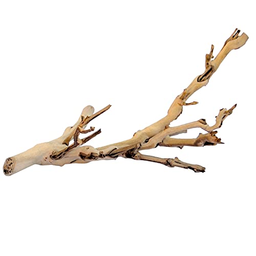 Exo Terra Forest Branch Small – Natural Wood Terrarium Decoration for Reptiles, Amphibians & Small Pets