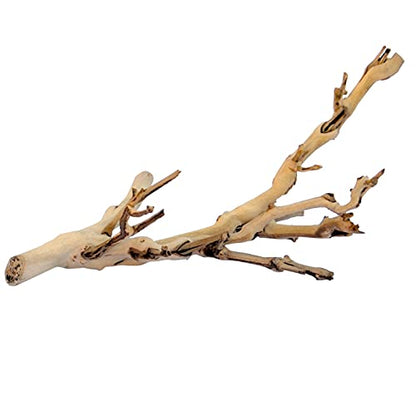 Exo Terra Forest Branch Small – Natural Wood Terrarium Decoration for Reptiles, Amphibians & Small Pets