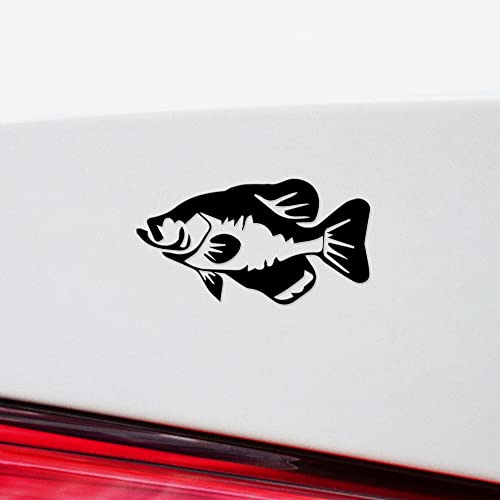 Decal Stickers of Detailed Crappie Fish (Black) (Set of 2) Premium Waterproof Vinyl Decal Stickers for Laptop Phone Accessory Helmet Car Window Mug Tuber Cup Door Wall - BICVER1531212BLW19Y24