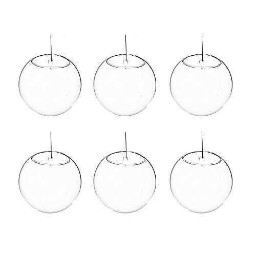 WGV Wall Hanging Planter Terrarium Bulk, Diameter 5", Clear Mounted DIY Succulents Air Glass Floral Container Vase, Tea Light Votive Candle Holder for Decoration 6 Pieces - size: 5"D