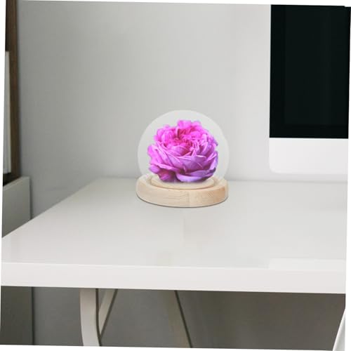 Happyyami Glass Cover Pedestal Showcase Clear Centerpiece Storage Fancy Dome Glass Display Case Flower Aquarium Glass Globe Preserved Flower Covers Display Cases for Collectibles Wood