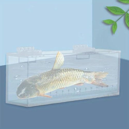 Fish Viewing Box Acrylic Outdoor Indoor Micro Landscape Fish Tanks Fishing Photo Tank Fish Breeding Tanks Photo Box with Scale(L) - size: L