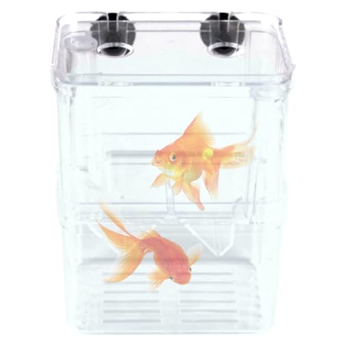Breeder Box for Fish Tank 2 Compartment Fish Isolation Box for Aquarium with Suction Cup & Feeding Port Transparent Plastic Breeding for Baby, Shrimps