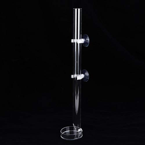 Aquarium Feeder, Acrylic Transparent Fish Feeding Tube with Tray Aquarium Fish Shrimp Feeder with Fixing Bracket Suction Cups(20cm)