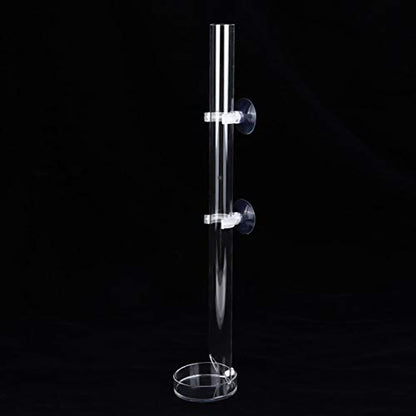 Aquarium Feeder, Acrylic Transparent Fish Feeding Tube with Tray Aquarium Fish Shrimp Feeder with Fixing Bracket Suction Cups(20cm)
