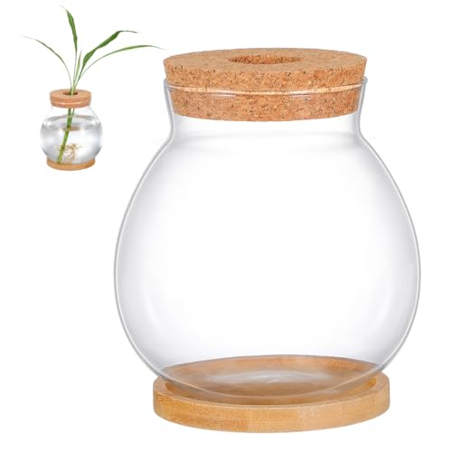 ibasenice Betta Fish Tank with Lid and Cushion Hydroponic Glass Aquarium for Desktop for Betta Fish and Aquatic Plants Terrarium with Base