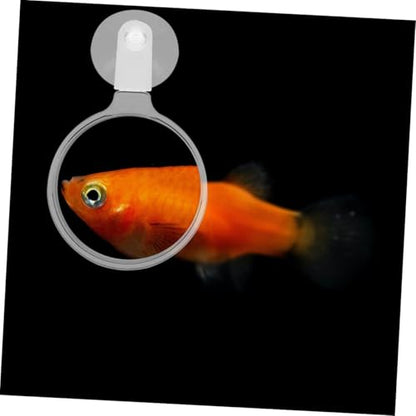 4pcs Acrylic Glass with Cup for Fish Tank Viewing High-Definition Observation Tool for Betta Fish -Landscapes Spiders and Animals User-Friendly Design for Seniors