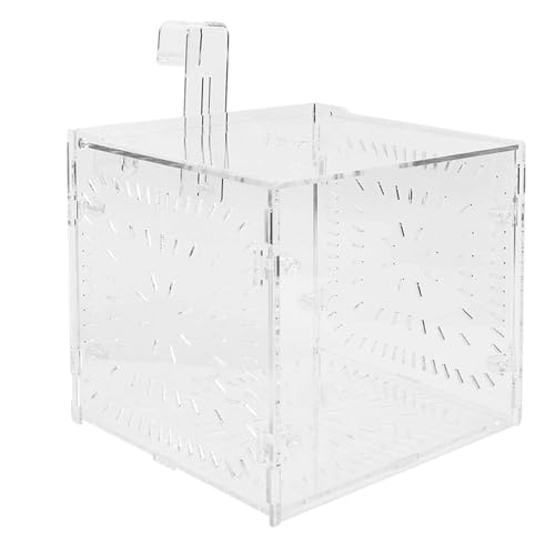 Fish Isolation Breeding Box Acrylic Incubator Floating Aquarium Hatchery Breeding and Parenting Box for Fish Aquarium(15CM*15CM*15CM)
