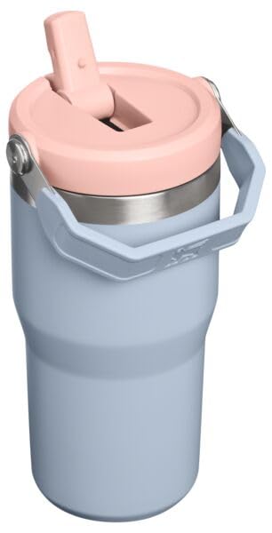 STANLEY IceFlow 2.0 Flip Straw Tumbler, 20 oz, Blue Dream - color: Blue Dream, size: 20 Ounces