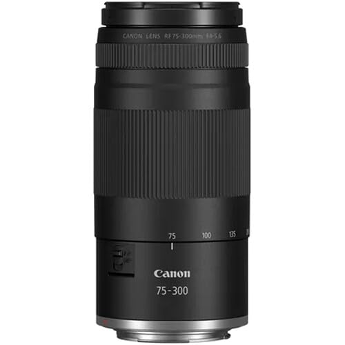 Canon RF 75-300mm f/4-5.6 Lens | Compact Telephoto Zoom with Versatile Focal Range & Smooth Autofocus | Great for Sports, Wildlife, Travel & Everyday Photography (7155C002) + Shoulder Bag + 64GB Card