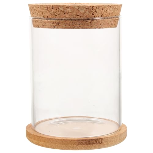 Glass Fish Bowl with Mat, Small Hydroponic Terrarium Container for Desktop Decor and Goldfish, 8x10cm Tabletop Aquarium for Home and Office