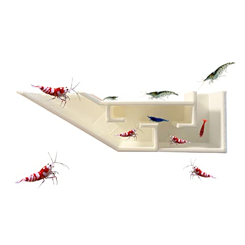 Aquarium Shrimp Party Tunnel, Includes Exquisite VIP Room and Two Entrances, Tunnel Cave for Shrimplets to Rest and Hide, Decor Hideaway Tunnel Made from Canada (White) - color: White