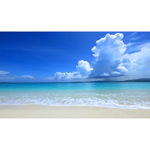 Tropical Beach Aquarium Background Ocean Sea Sandbeach Fish Tank Background Ocean Seascape Terrarium Backgrounds Sunny Blue Sky Clouds Seacoast Ocean Sea Waves Reptile Tank Backgrounds 24x12in - color: Blue, size: 24(W)x12(H)inches/ 60(W)*30cm(H)